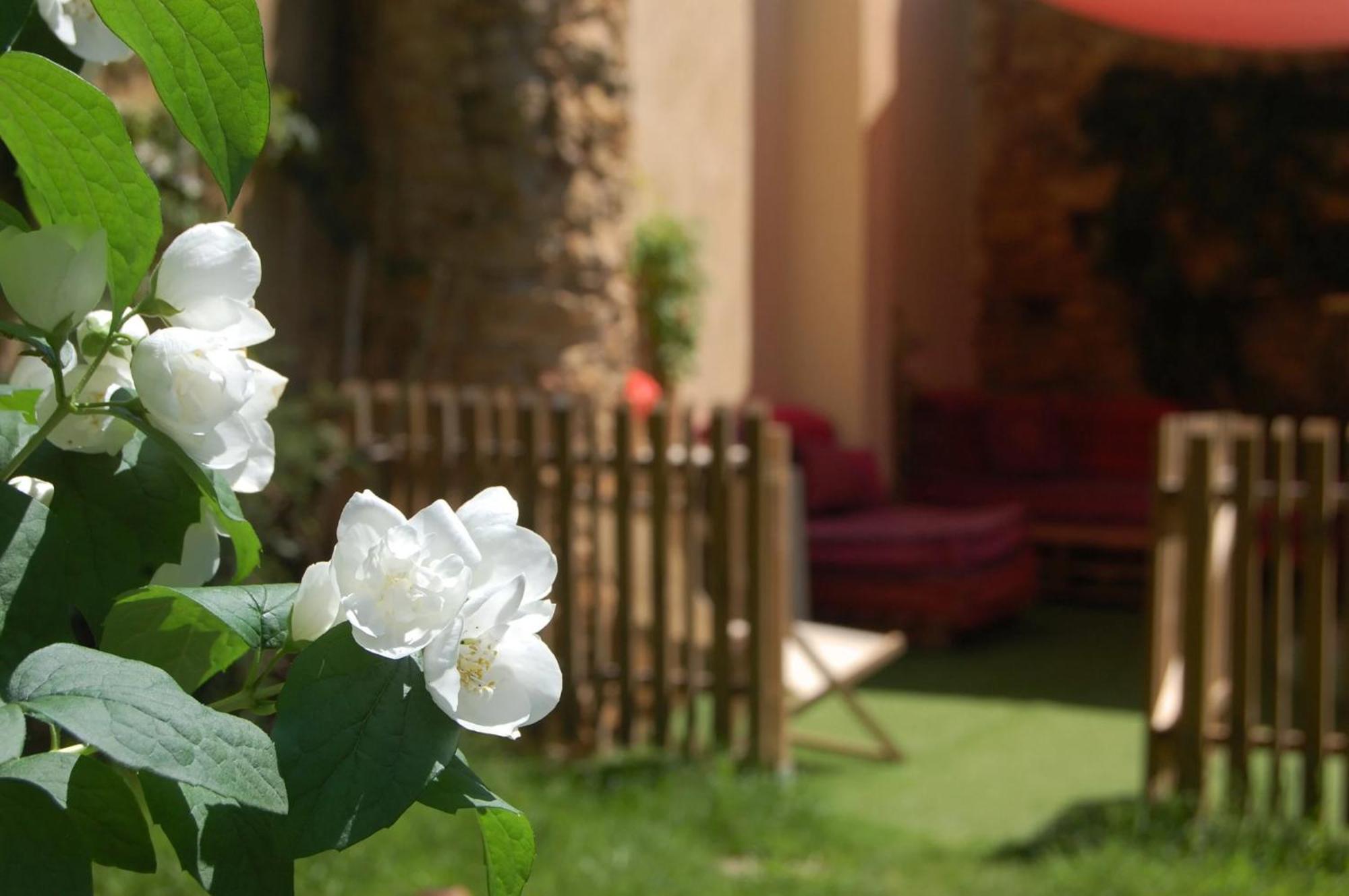 La Bucolique, Chambres Et Jardin D'Hotes Sabran Dış mekan fotoğraf